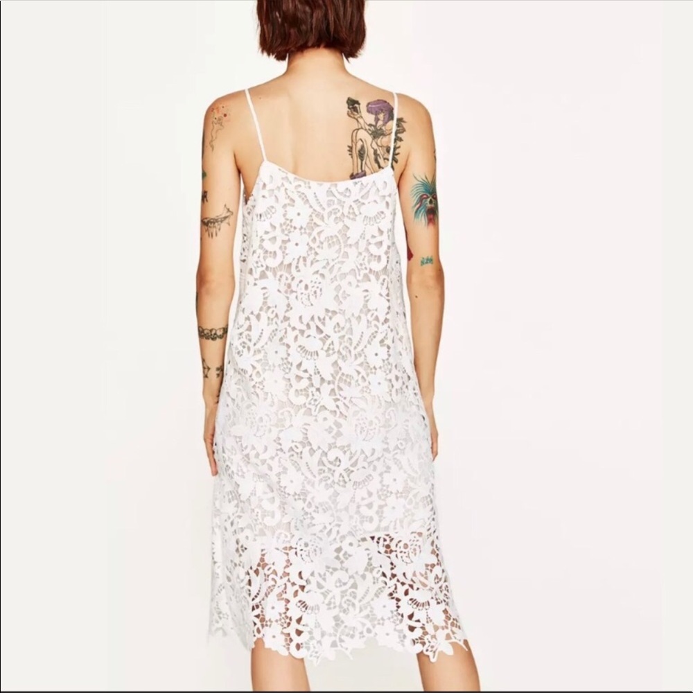 🌵🌹Gorgeous NWT Dress by Zara  size small - Picture 6 of 8